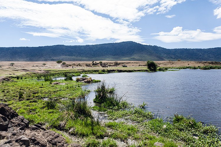 TZA ARU Ngorongoro 2016DEC26 Crater 088